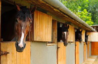 free Trembraze stable construction quotes